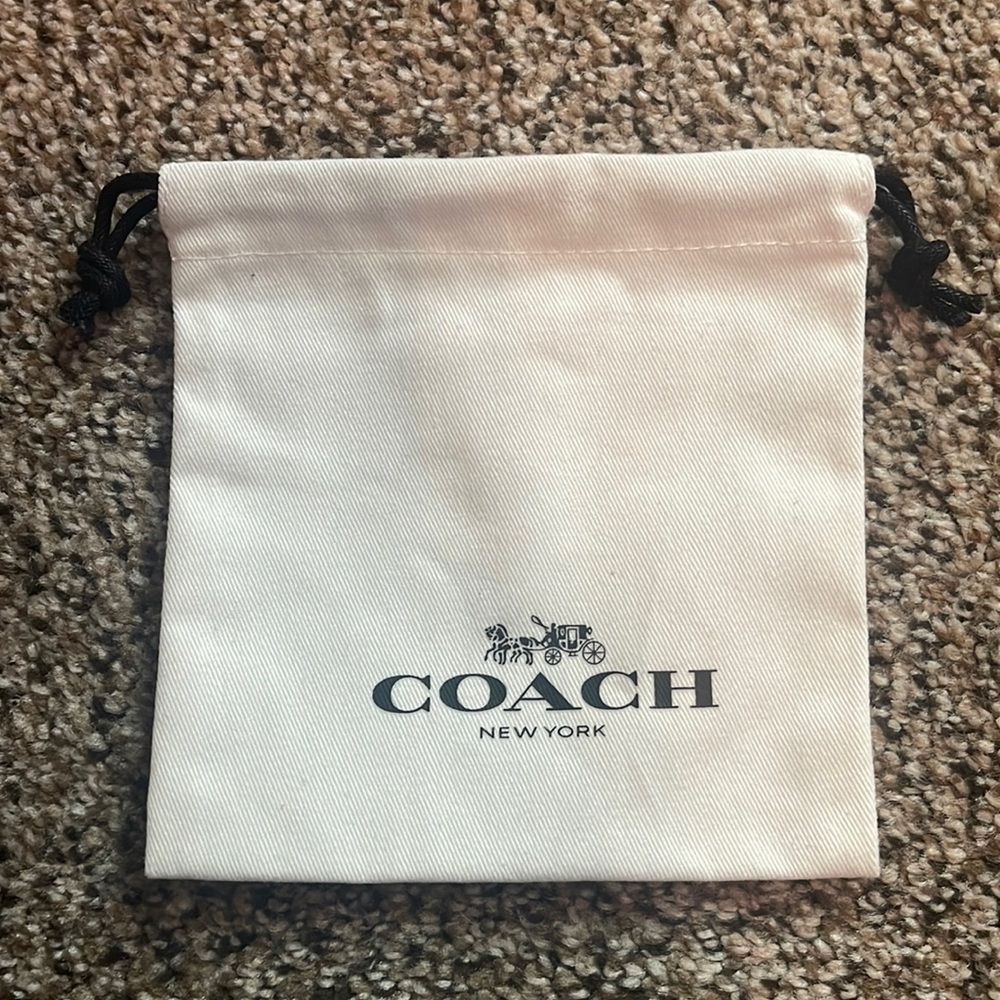 small coach jewelry bag